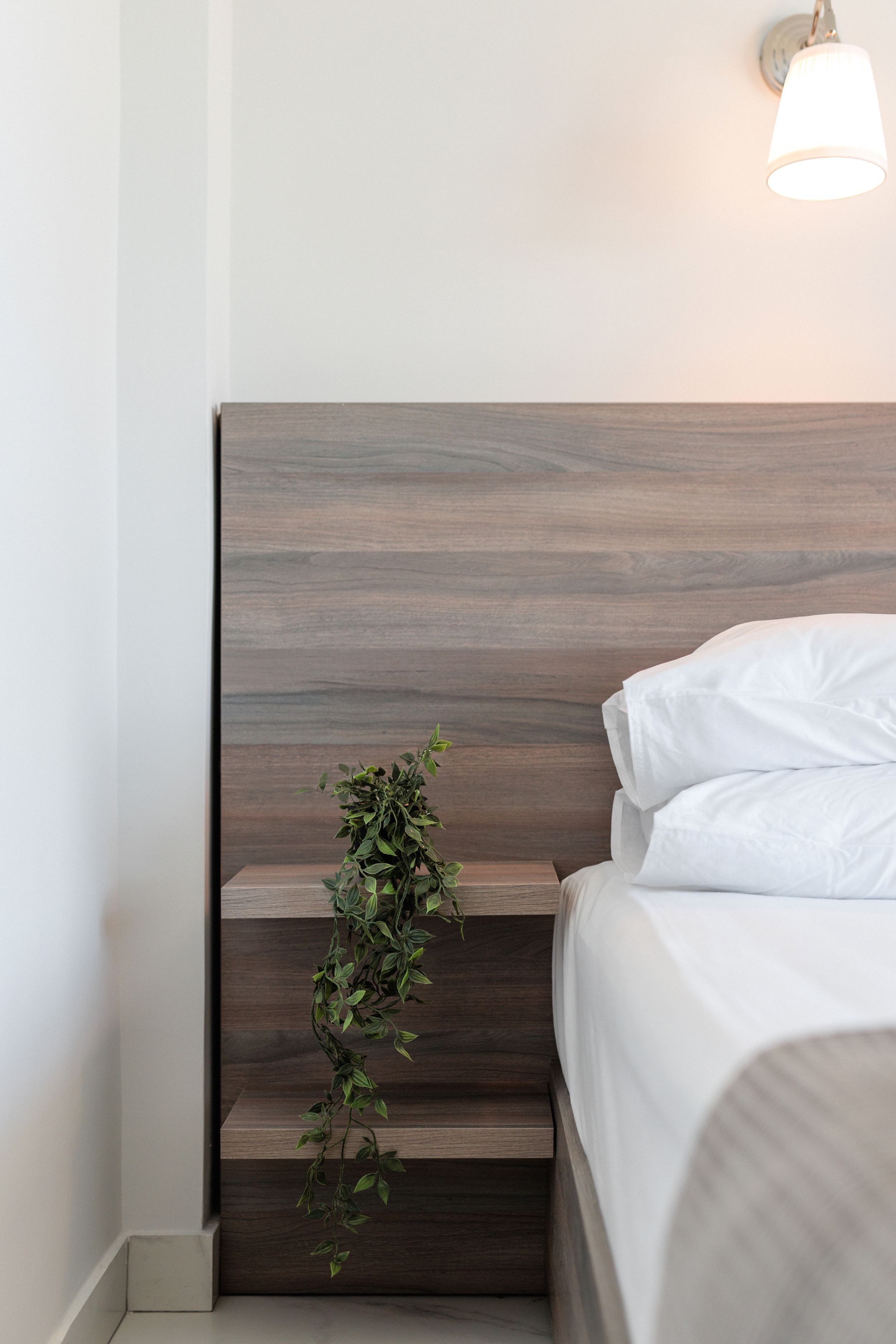 a bed with a plant on it