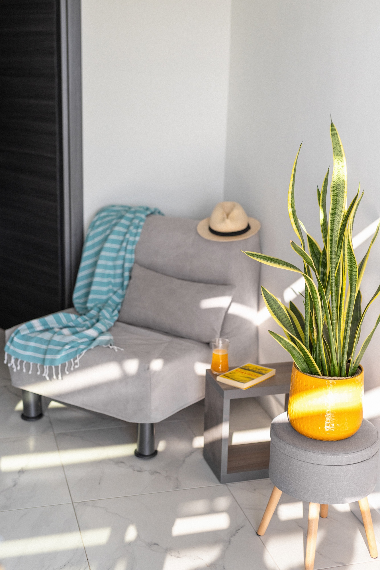 a chair and a plant in a room